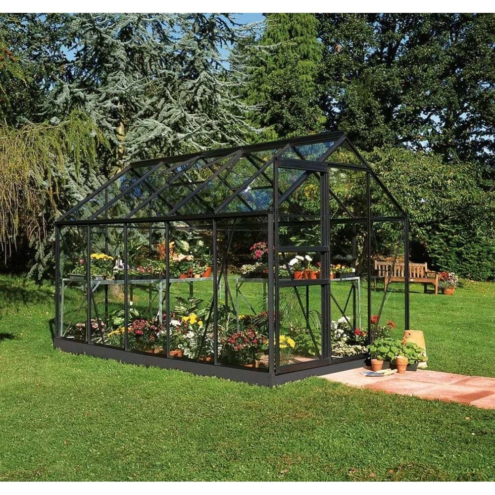 Halls Växthus Popular 6,2m2(Svart/3 mm Glas)